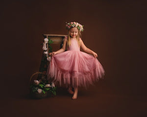 The Vivienne Dress - Pink
