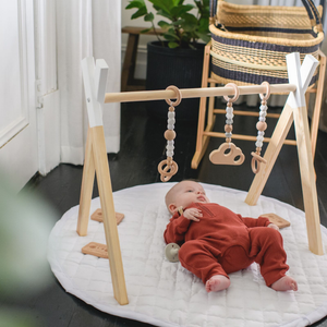 Beechwood Play Gym & Accessories