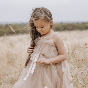 Fairy Floss Dress