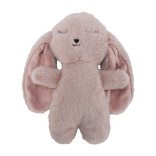 Load image into Gallery viewer, Plush Billie Bunny
