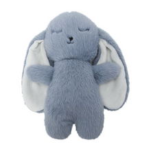 Load image into Gallery viewer, Plush Billie Bunny
